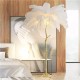 Buy the Ostrich Feather Floor Lamp Lamps online from Decor Lighting