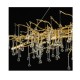 Buy the Rectangular Crystal Chandelier Chandeliers online from Decor Lighting